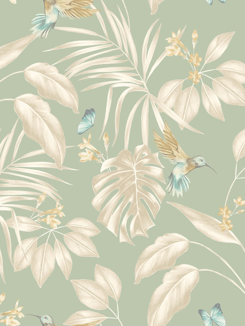Ohpopsi hummingbird wallpaper sample A4 (British brand)