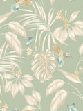 Ohpopsi hummingbird wallpaper sample A4 (British brand)