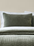 Bianca Natural Attica Velvet Embroidered Pillow Sham Pair