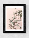 Sisi & Seb Black Olive Wall Art Print Framed - British product