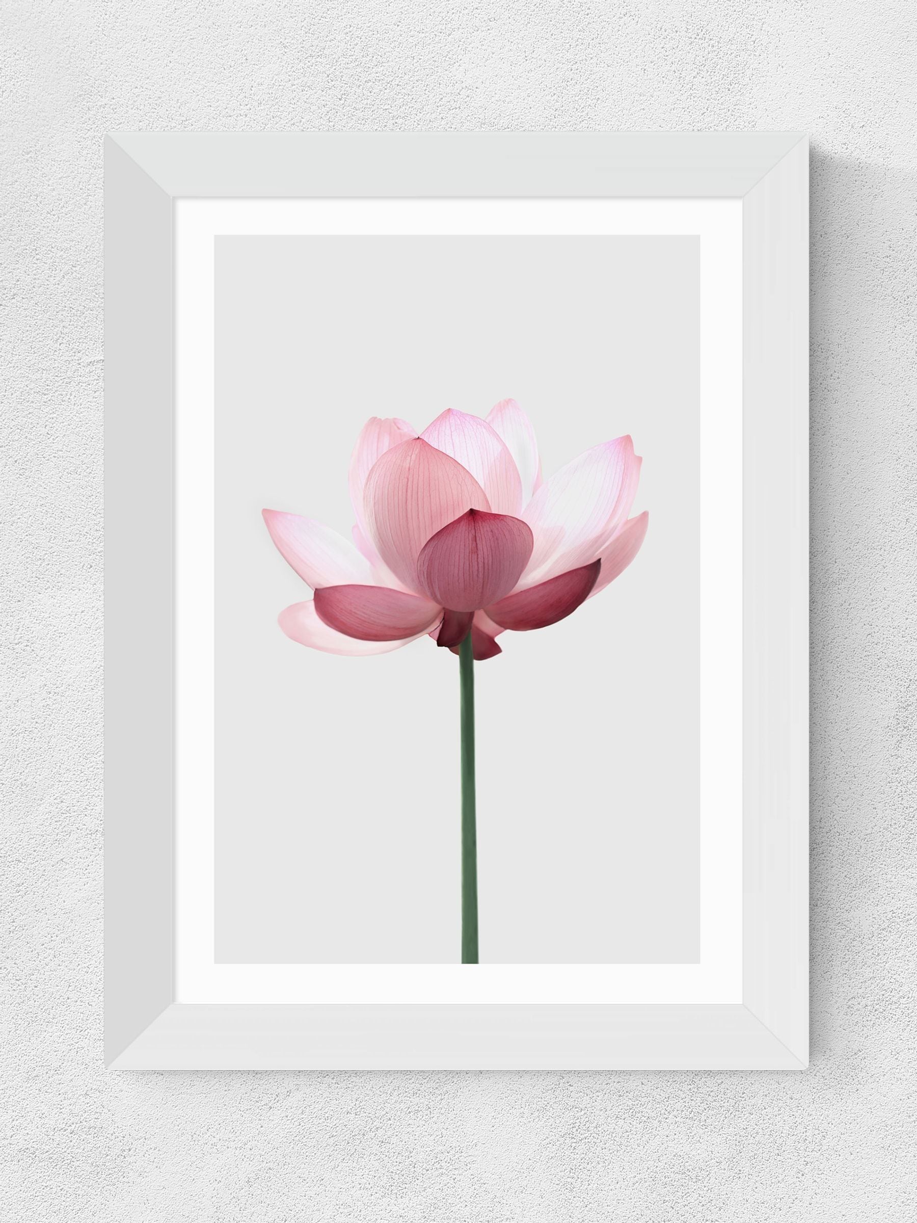 East End Prints White Lotus wall art print by Sisi and Seb - British product