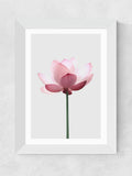 East End Prints White Lotus wall art print by Sisi and Seb - British product