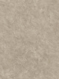Abigail Ahern wallpaper sample Urbanite Tadelakt A4, imported from the UK