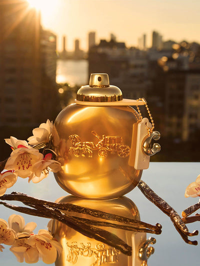 Next COACH Gold Eau de Parfum 50ml & Travel Spray 7.5ml Gift Set- Buy online at McGrocer