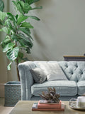 Laura Ashley Sage Leaf Matt Emulsion Peel & Stick Paint Sample