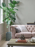 Laura Ashley Pale Sage Leaf Matt Emulsion Peel & Stick Paint Sample