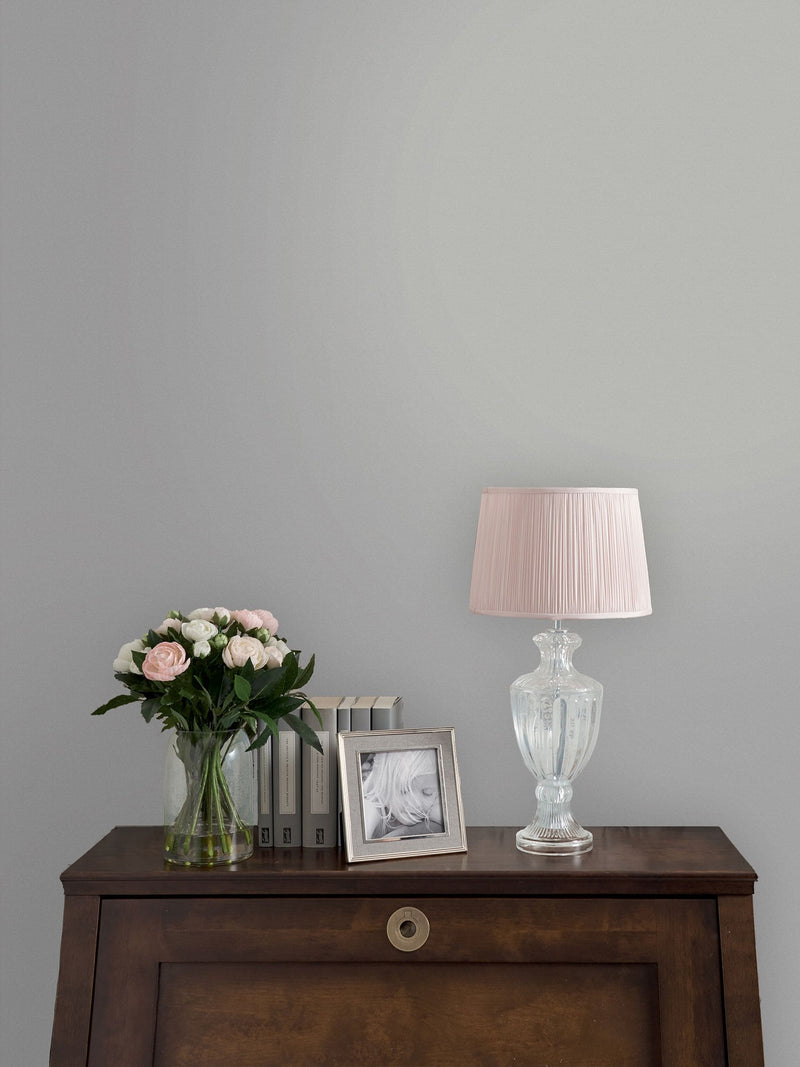 Laura Ashley Silver Matt Emulsion Peel & Stick Paint Sample