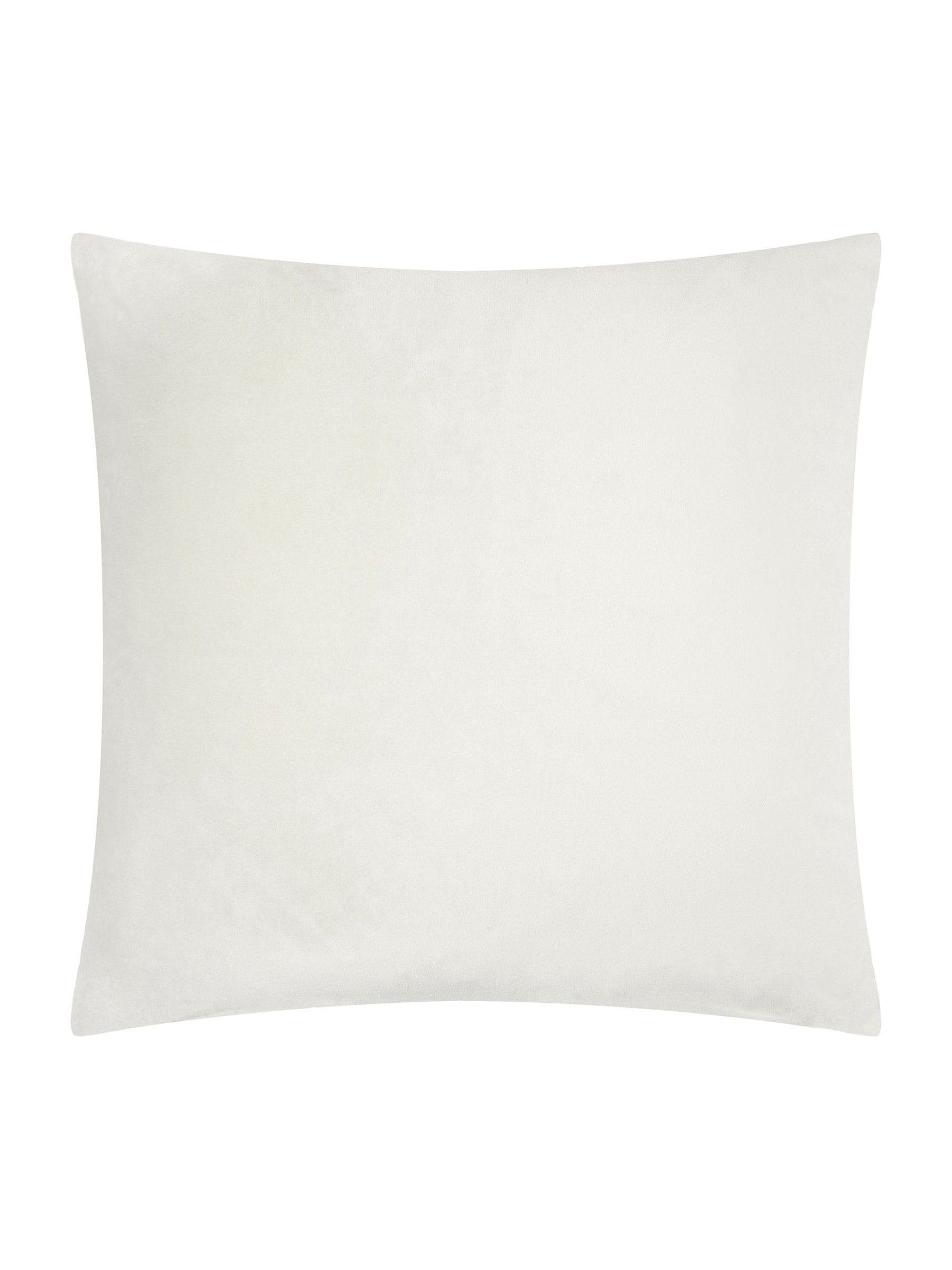 Paoletti Oyster Evoke velvet cushion 55cm, UK version