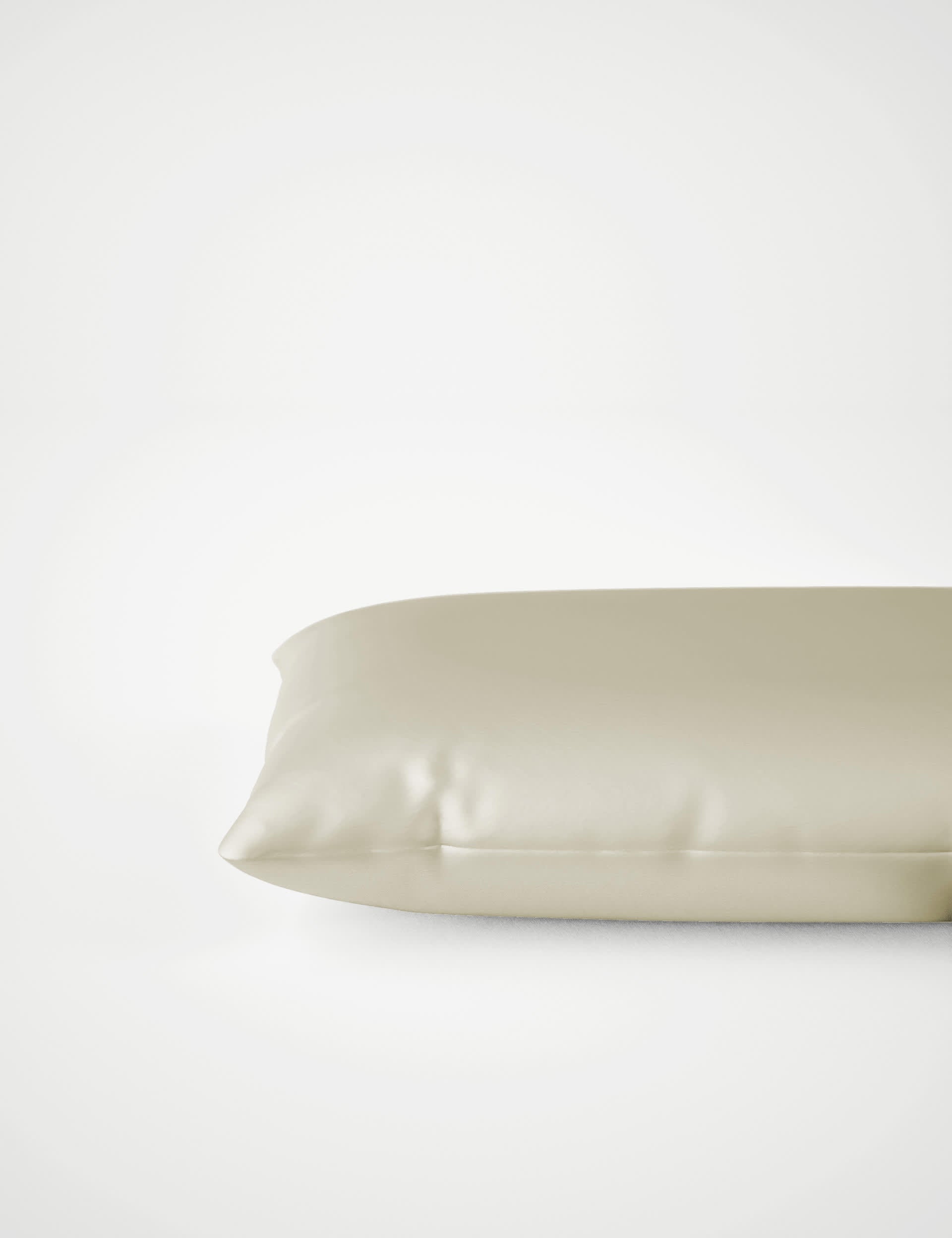 Pure Mulberry Silk Pillowcase