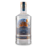 Haysmiths London Dry Gin (British brand)