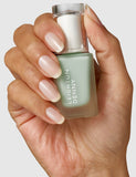 Leighton Denny Hydra Flex nail treatment kit 2x12ml and 50ml (British brand)