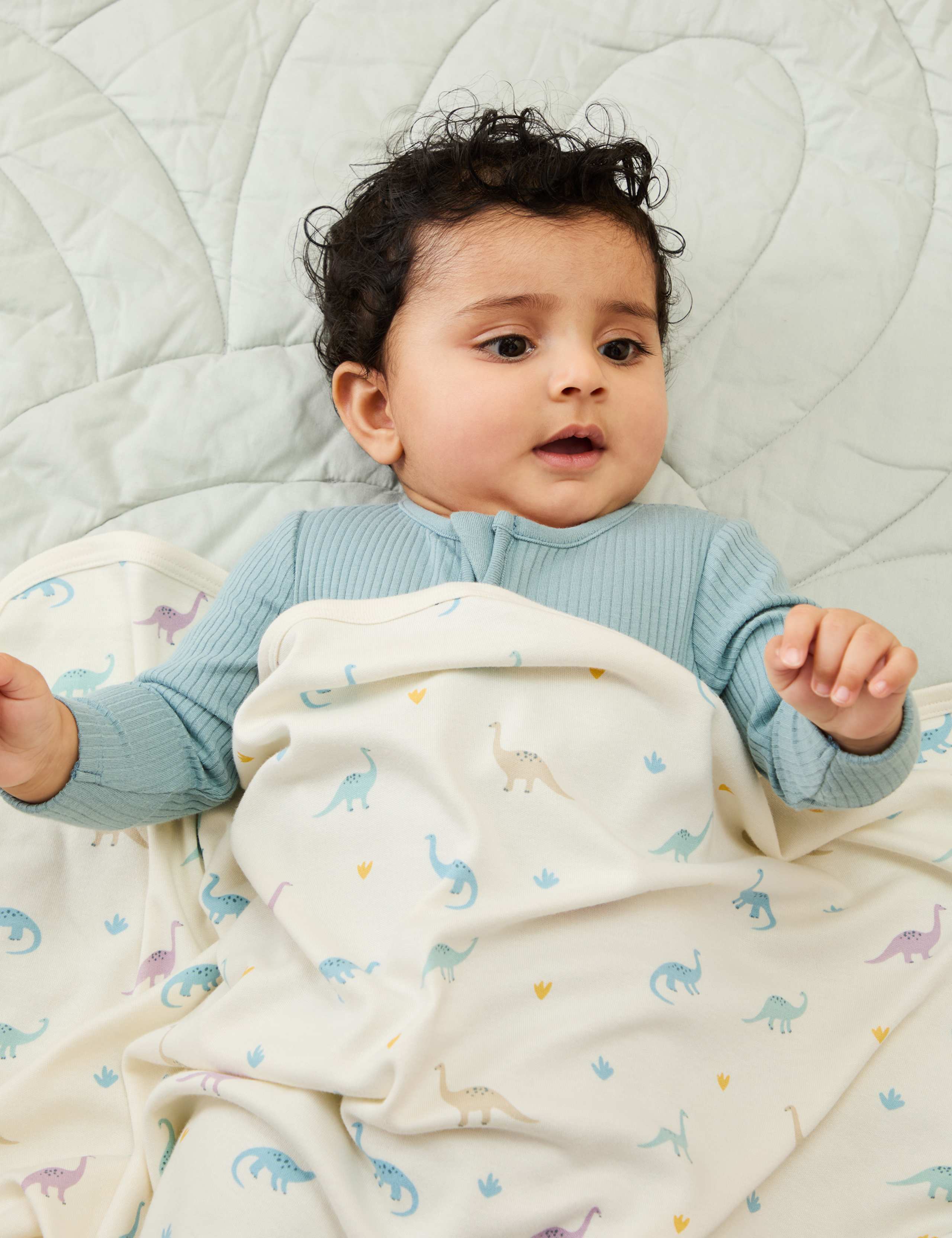 Jersey Dinosaur Print Blanket