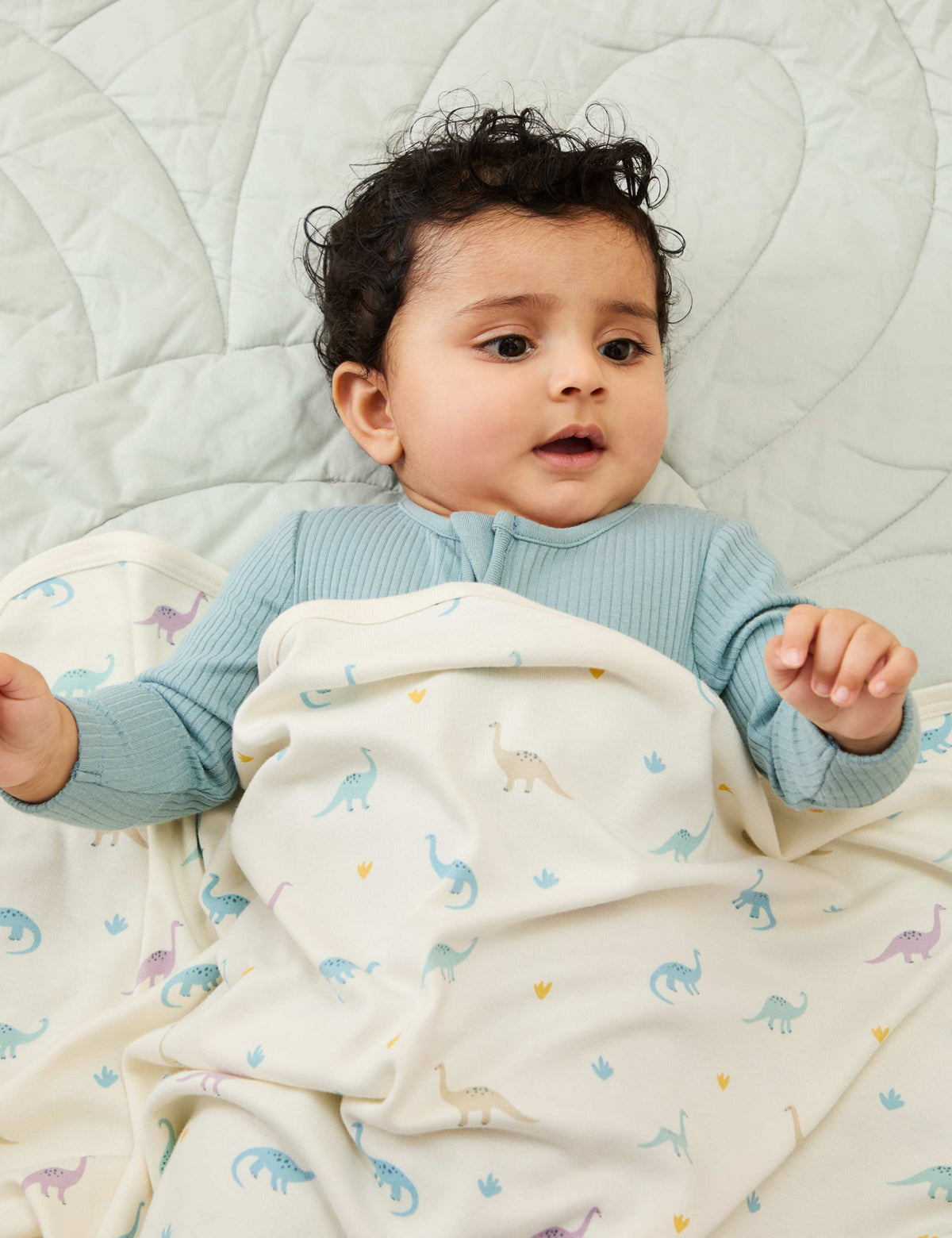 Jersey Dinosaur Print Blanket