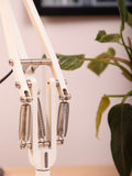Anglepoise Type 75 Mini white desk lamp - British product