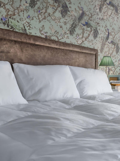 Next Laura Ashley White Luxury Duck Down Pillow One Size- Buy online at McGrocer