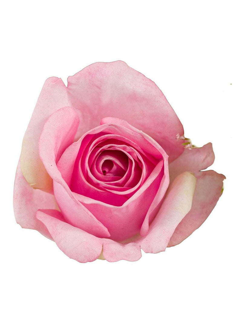 Gallery Home pink primrose mixed bouquet 75cm (British brand)