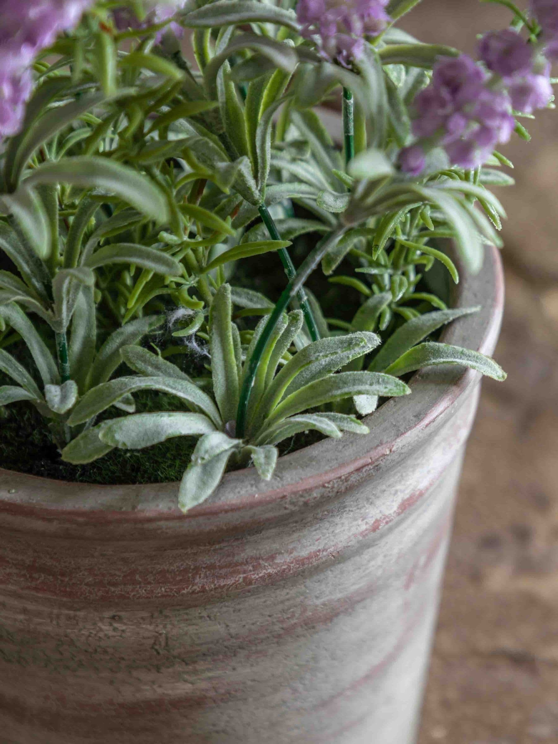 Gallery Home artificial lavender pot purple 30cm, imported from the UK