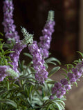 Gallery Home artificial lavender pot purple 30cm, imported from the UK