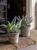 Gallery Home artificial lavender pot purple 30cm, imported from the UK