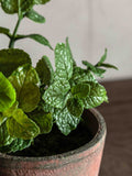 Gallery Home artificial peppermint plant red terracotta pot 23cm (British brand)