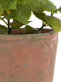Gallery Home artificial peppermint plant red terracotta pot 23cm (British brand)