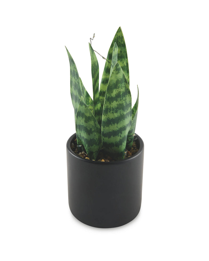 Kirkton House LED Plant Artificial Potted Plant