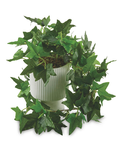 aldi Kirkton House LED Plant Artificial Potted Plant- Buy online at McGrocer