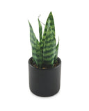 Kirkton House LED Plant Artificial Potted Plant