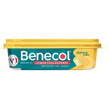 Benecol buttery dairy spread 250g tub (British brand)