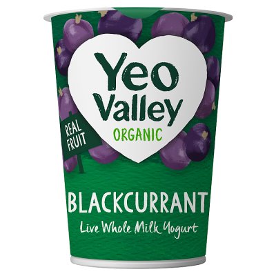 Yeo Valley organic blackcurrant yogurt 450g (British brand)