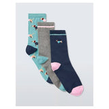 Novelty dachshund ankle socks 3-pack size 3, UK version
