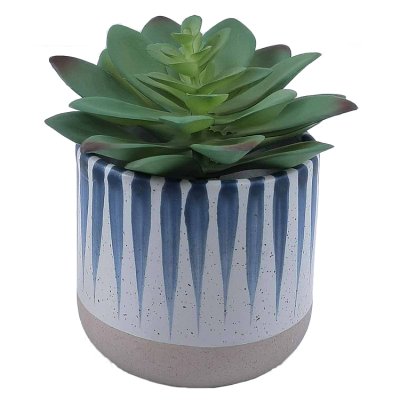 Curate faux succulent in blue detail ceramic pot 11cm tall (British brand)