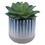 Curate faux succulent in blue detail ceramic pot 11cm tall (British brand)