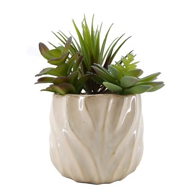 Curate faux succulent mixed 21.5cm - British product