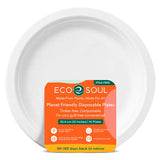 Compostable bagasse plates 10 inch pack of 10, UK version