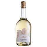 Terre di Faiano organic spumante brut sparkling wine 75cl, UK version