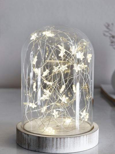 Next White Star Decorative Battery Operated Cloche Feature Light- Buy online at McGrocer