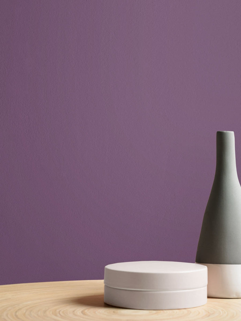 Graham & Brown Plum Pie Purple Resistance Matt Emulsion Paint (British brand)