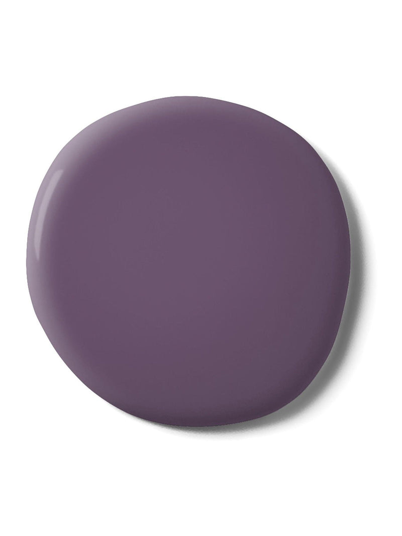 Graham & Brown Plum Pie Purple Resistance Matt Emulsion Paint (British brand)