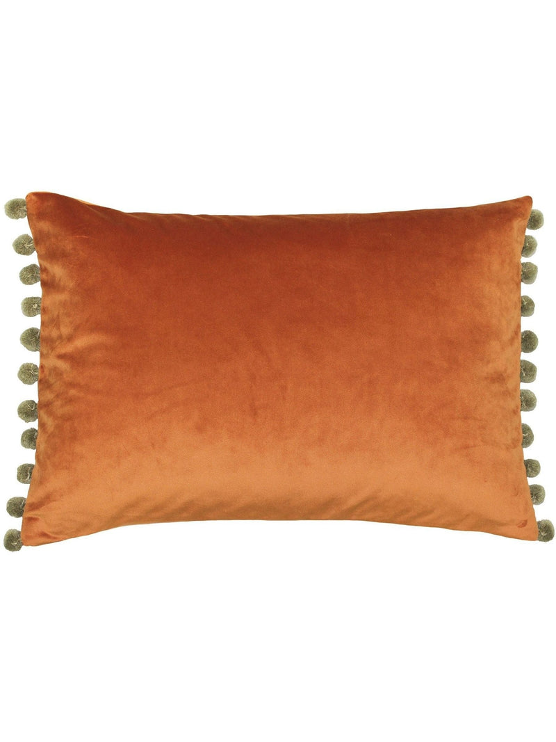 Paoletti Duck Egg/Natural Fiesta Velvet Cushion