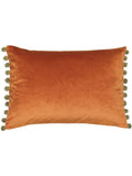 Paoletti Duck Egg/Natural Fiesta Velvet Cushion