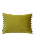 Paoletti Duck Egg/Natural Fiesta Velvet Cushion