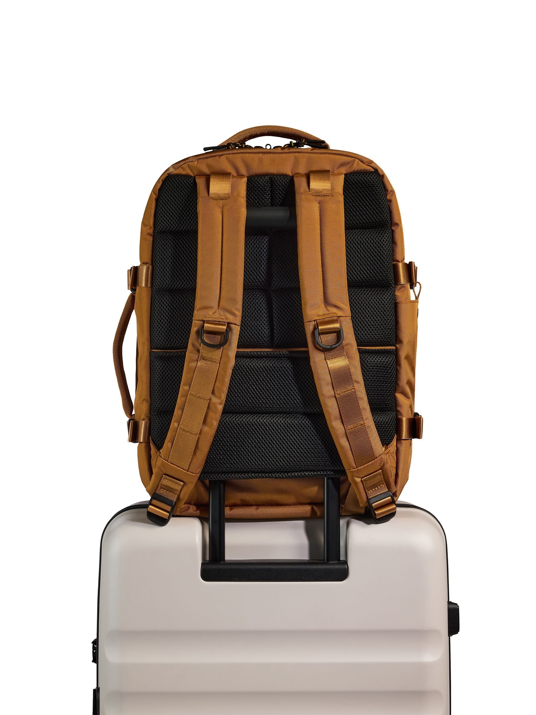 Antler Discovery Backpack purple 28L, imported from the UK