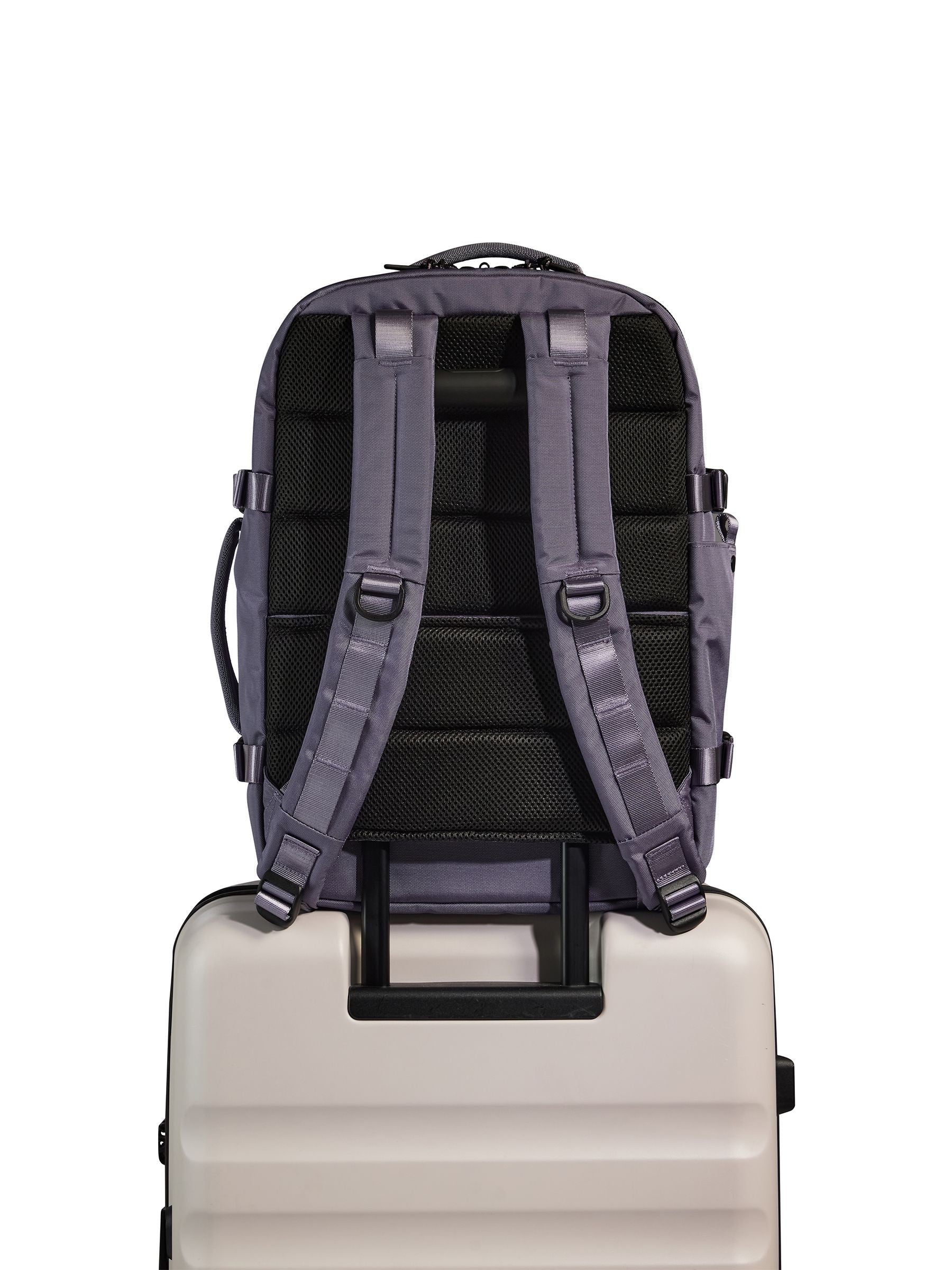 Antler Discovery Backpack purple 28L, imported from the UK
