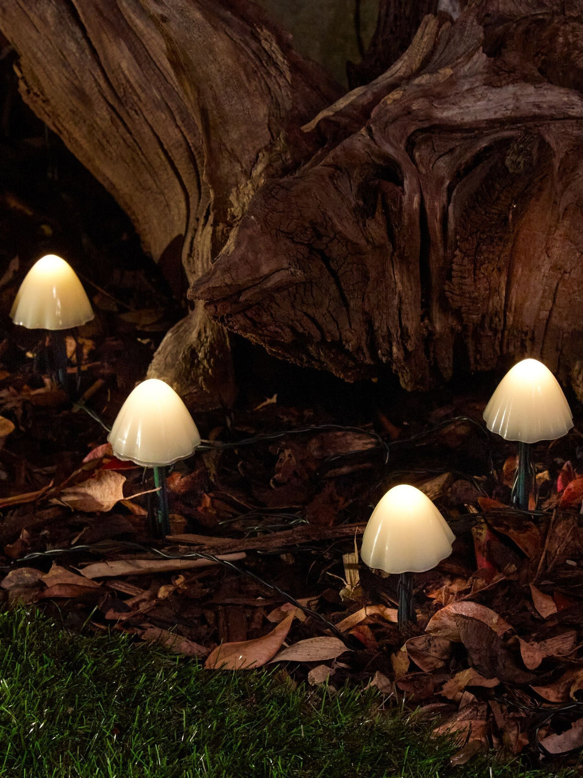 SolarCentre clear solar mushroom lights set of 12 (British brand)