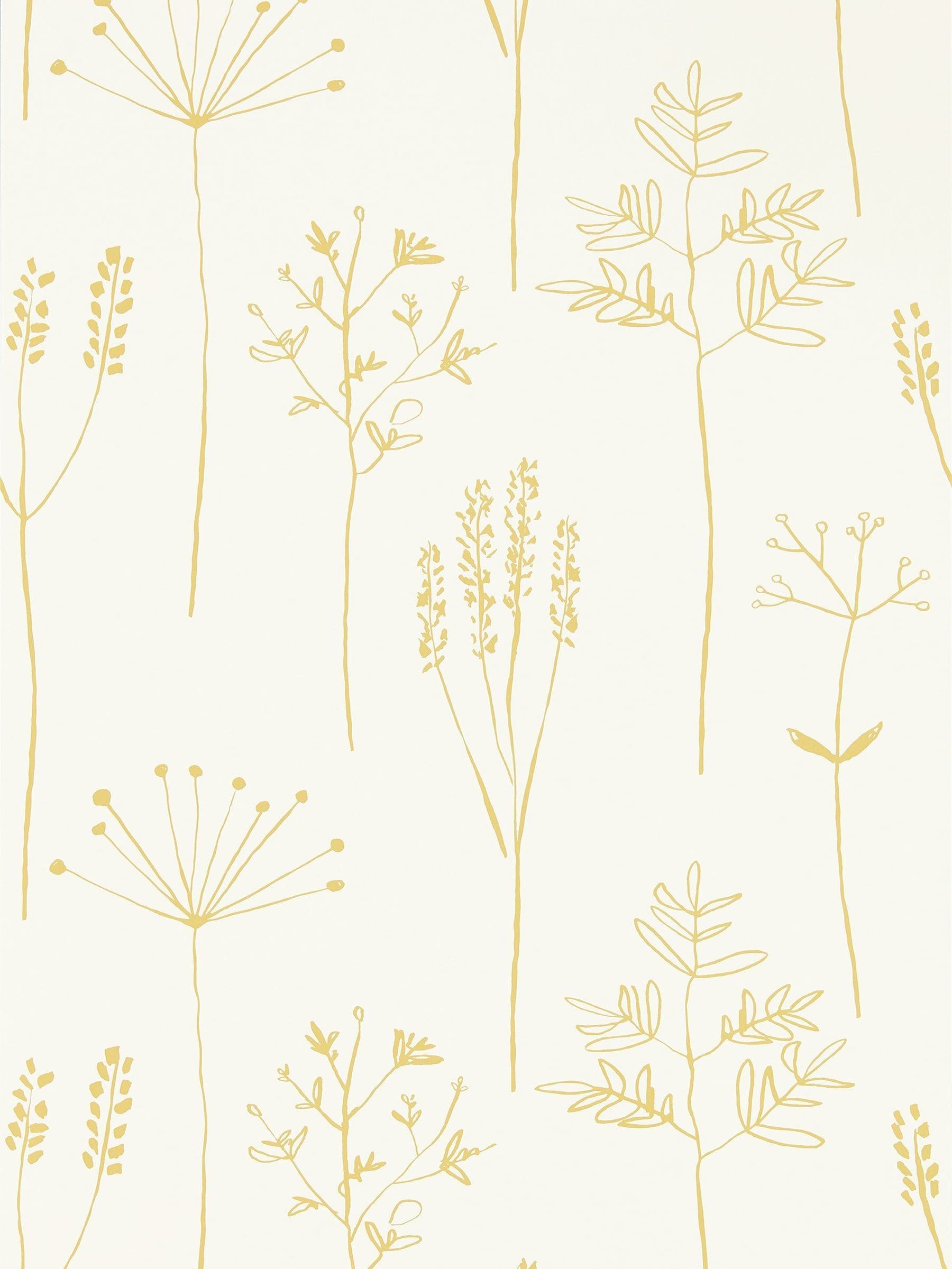 Scion yellow stipa wallpaper - British product