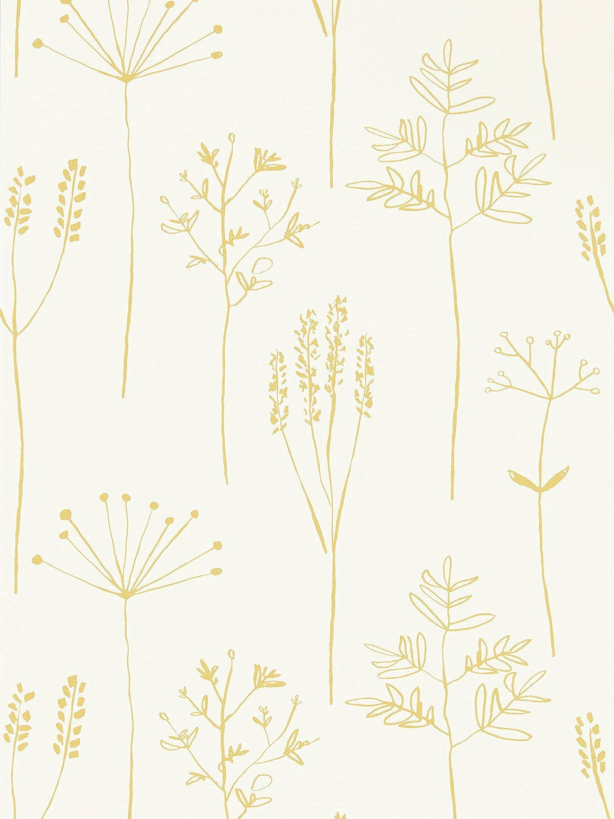 Scion yellow stipa wallpaper - British product
