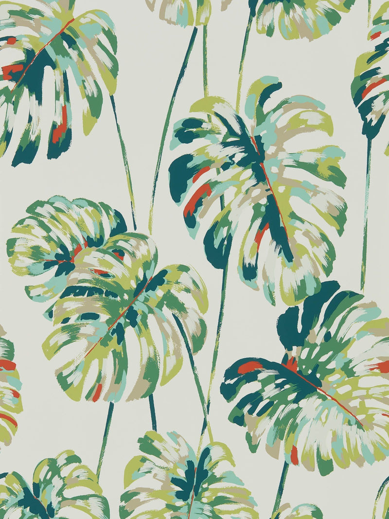 Harlequin green kelapa cheese plant wallpaper - British product