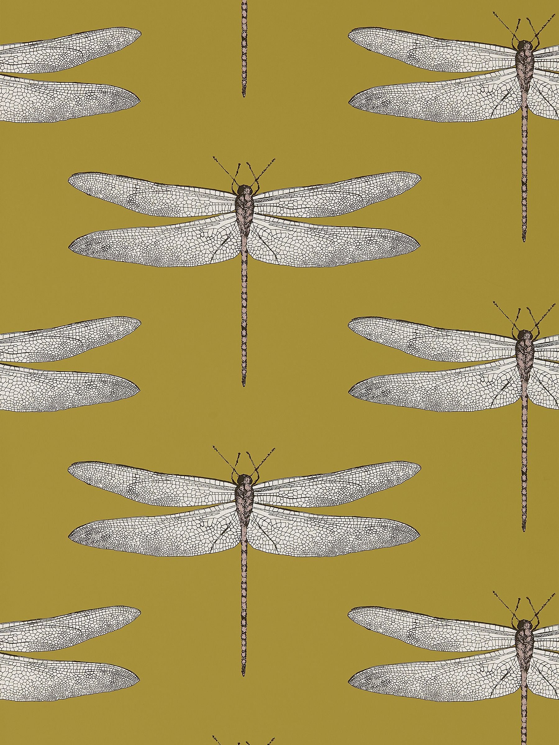 Harlequin yellow demoiselle wallpaper, imported from the UK