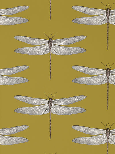 Next Harlequin Yellow Demoiselle Wallpaper 10.05m- Buy online at McGrocer